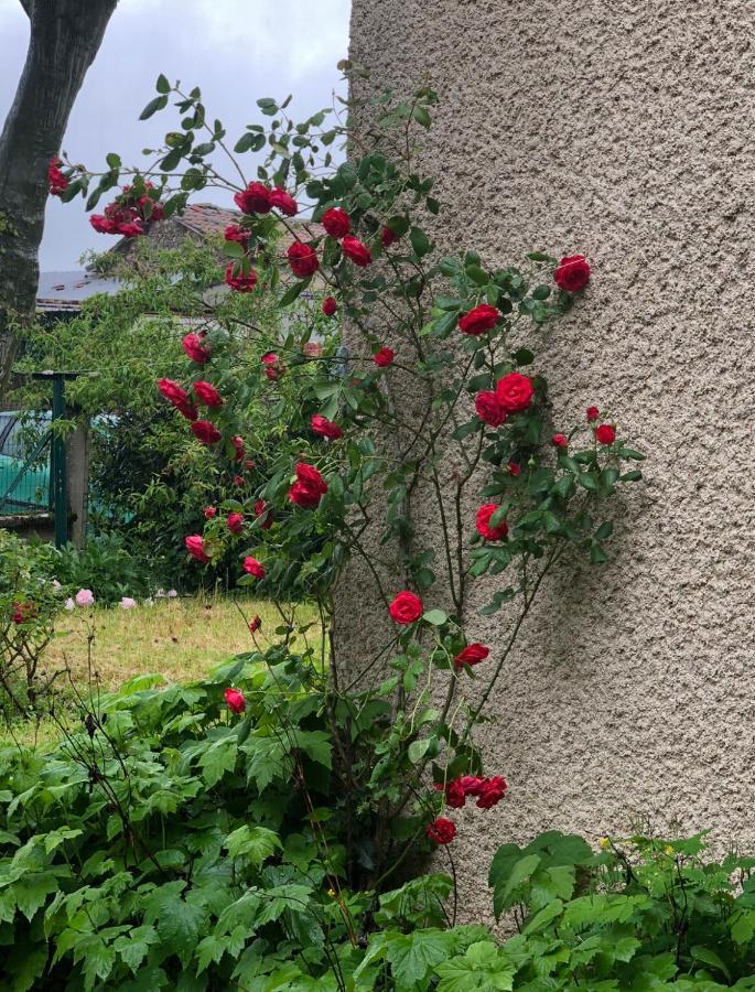 Gite De Pampe Lune & Spa Pampelonne Kültér fotó